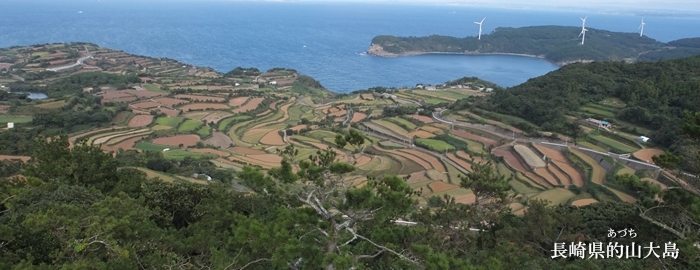 長崎県的山大島